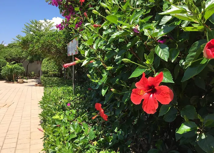 Villaggio Torre Ruffa Hotel